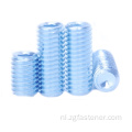 Hexagon Socket Set -schroeven met kopje punt met blauw zink DIN916